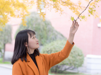 办理菲律宾签证的成功率高吗(最新成功办理签证案例介绍)